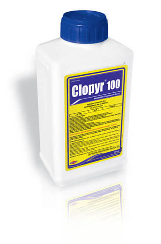 CLOPYR 100