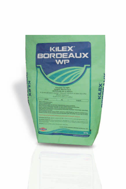 Kilex Bordeaux WP