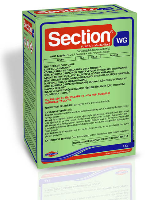 SECTION WG