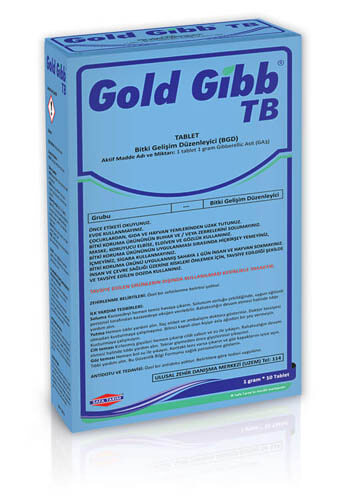 GOLD GİBB TB